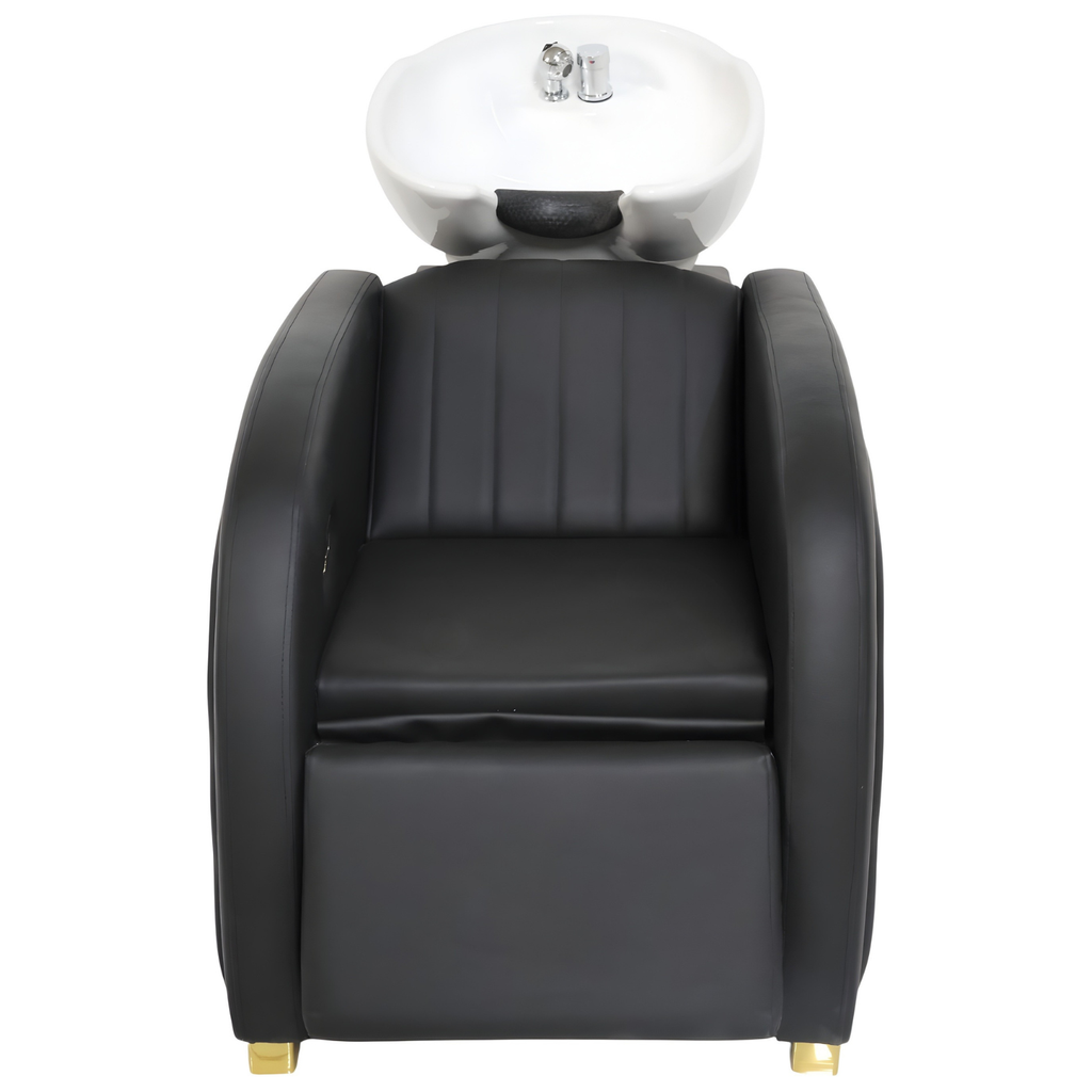 Lavacabeza Profesional Modelo SHARK GOLD