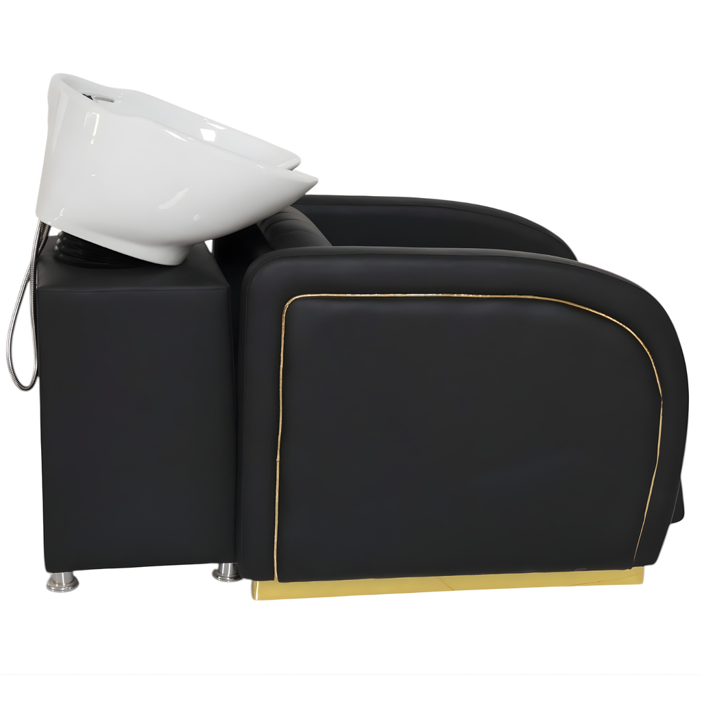 Lavacabeza Profesional Modelo SHARK GOLD