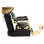 Lavacabeza Profesional Modelo TRITÓN GOLD