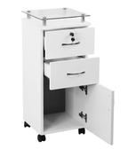 Carrito Auxiliar Profesional – Modelo Marcy-089 - vivox&space